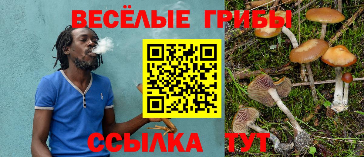 Саяногорск  Псилоцибиновые грибы мухоморы  Вход с VPN 